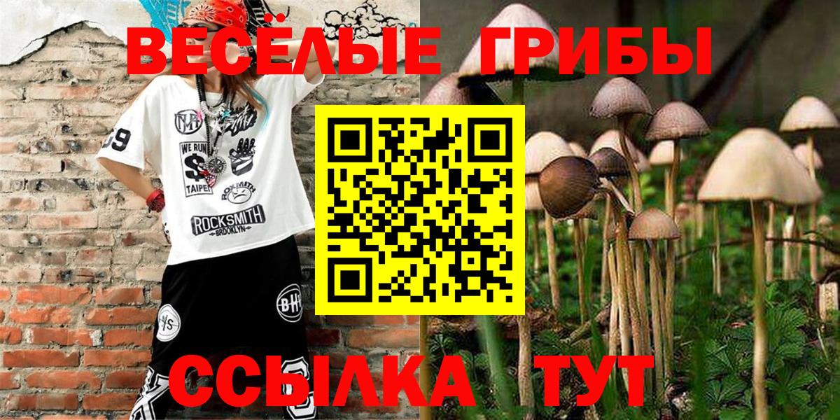 Комсомольск-на-Амуре  Галлюциногенные грибы ЛСД  Вход с VPN 